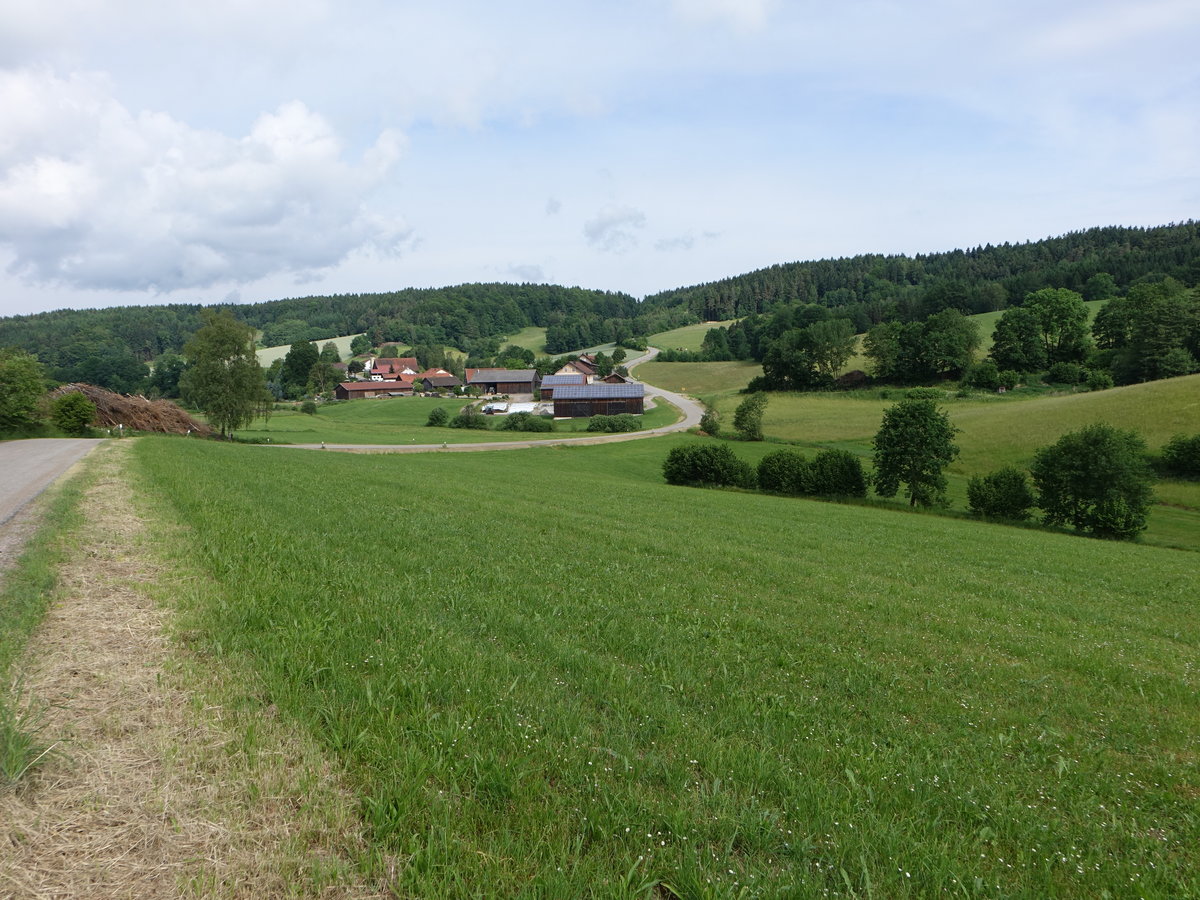 Wiesen bei Martinsneukirchen im oberen bayrischen Wald (05.06.2017)