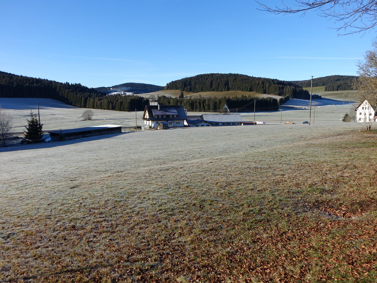 Wiesen bei Schollach im Bregtal, Hochschwarzwald (26.12.2018)