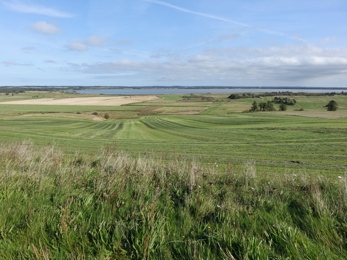 Wiesen beim Fischerdorf Lild Strand auf der dänischen Insel Vendsyssel-Thy (19.09.2020)