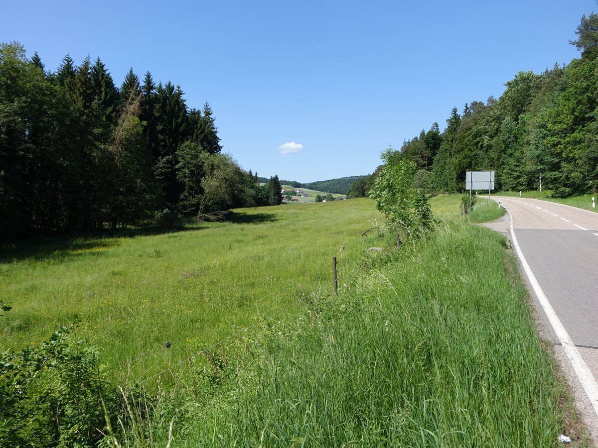 Wiesen im Falkensteiner Vorwald bei Schönfeld, Gemeinde Wald, Oberpfalz (02.06.2017)