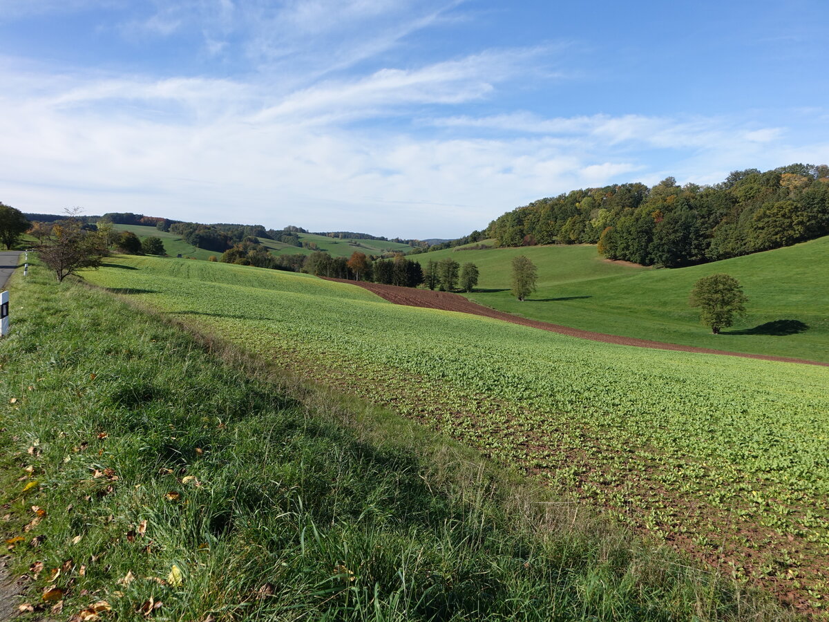 Wiesen und Felder bei Hellborn, Saale-Orla-Kreis (20.10.2022)