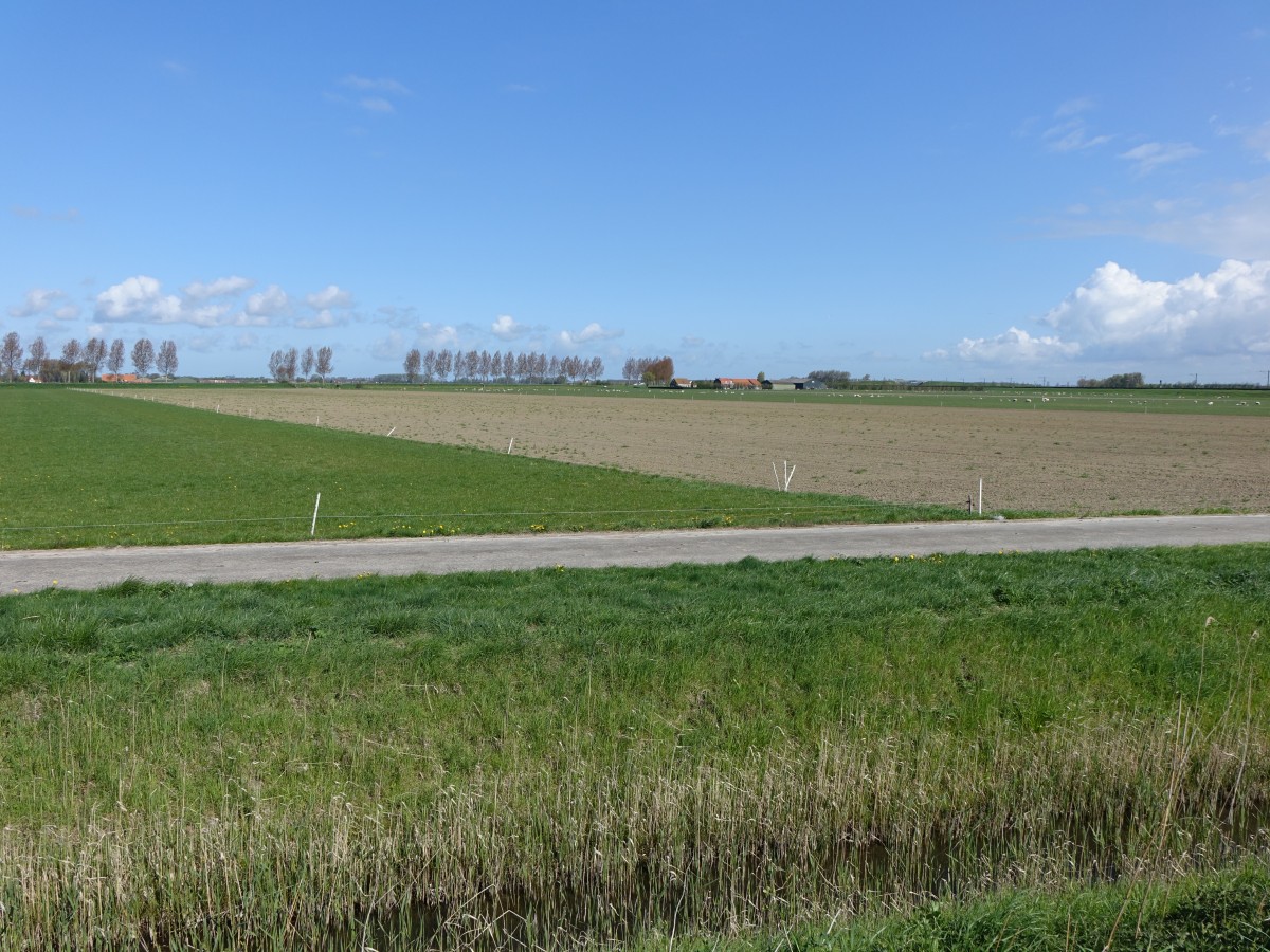 Wiesen und Felder in der Provinz Zeeland bei Middelburg (30.04.2015)