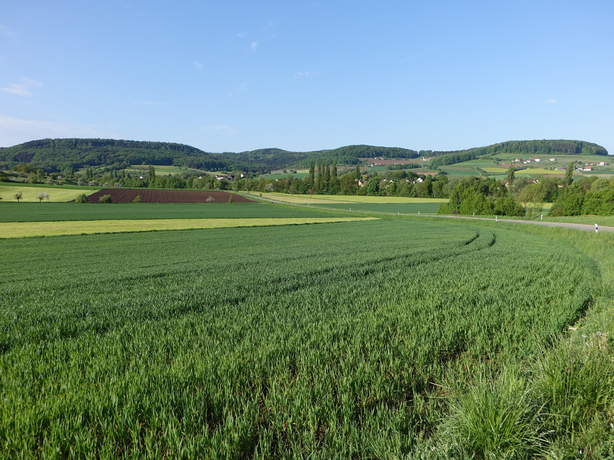 Wiesen im Ohrntal bei Oberohrn (29.04.2018)