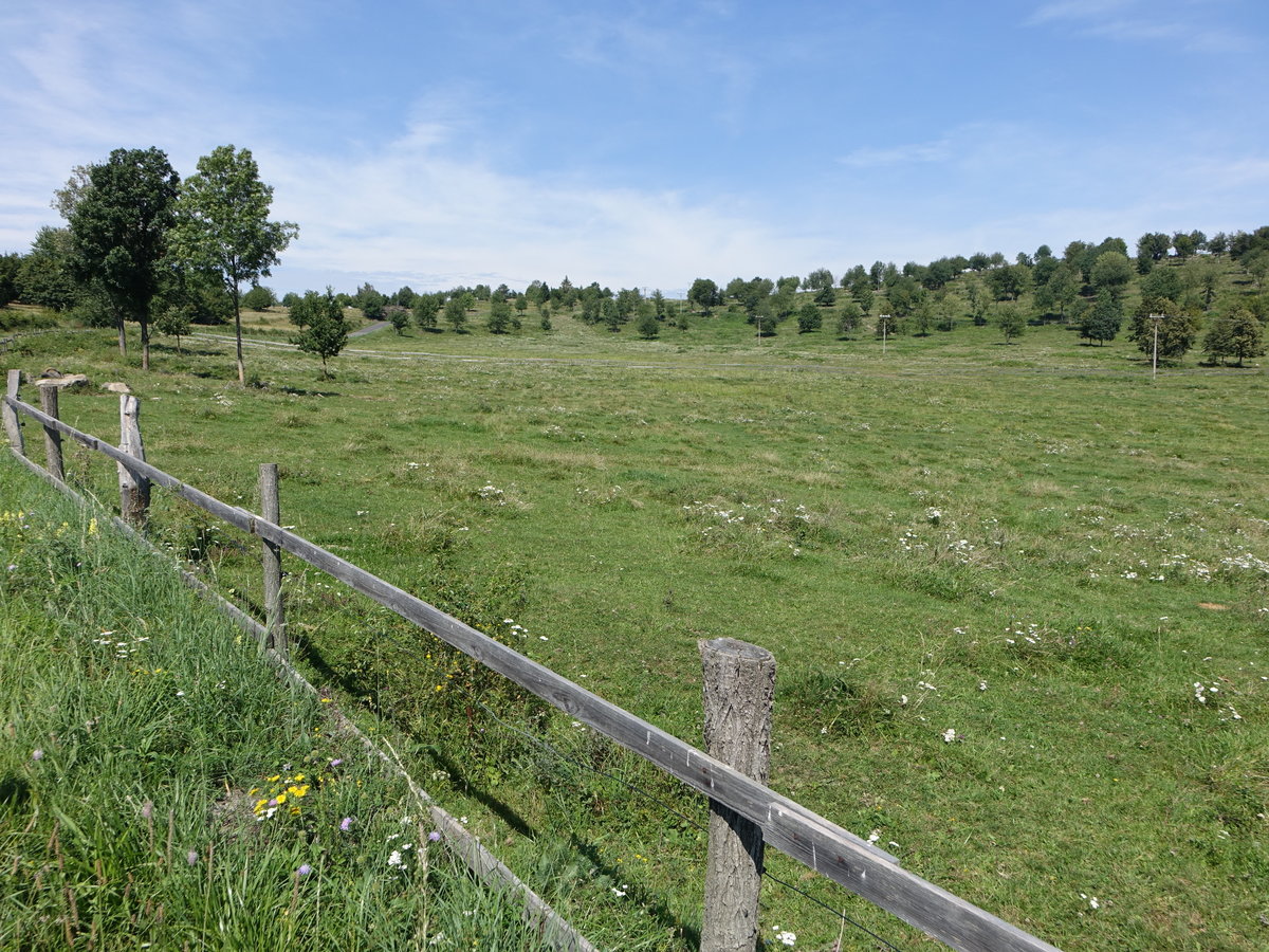 Wiesen im Ostrôžky-Gebirge bei Abelova (29.08.2020)