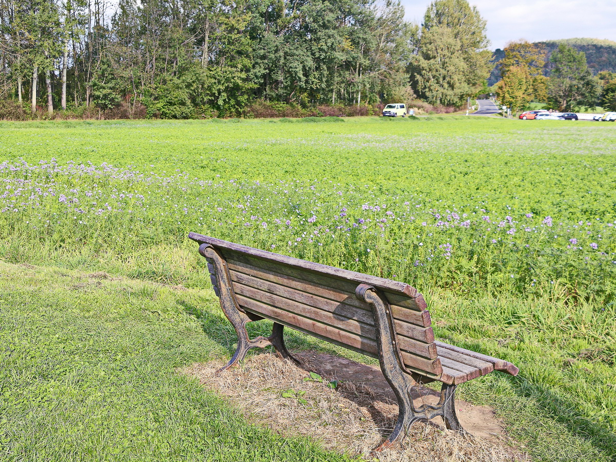 Wiesen vor den Schrammsteinen am 07. Oktober 2021 Ostrau (Bezirk von Bad Schandau).