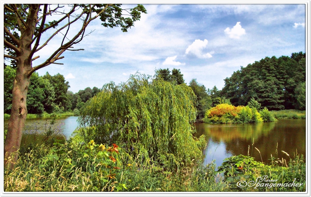 Wiesensee in Lauenbrück an der Fintau. Juli 2010.