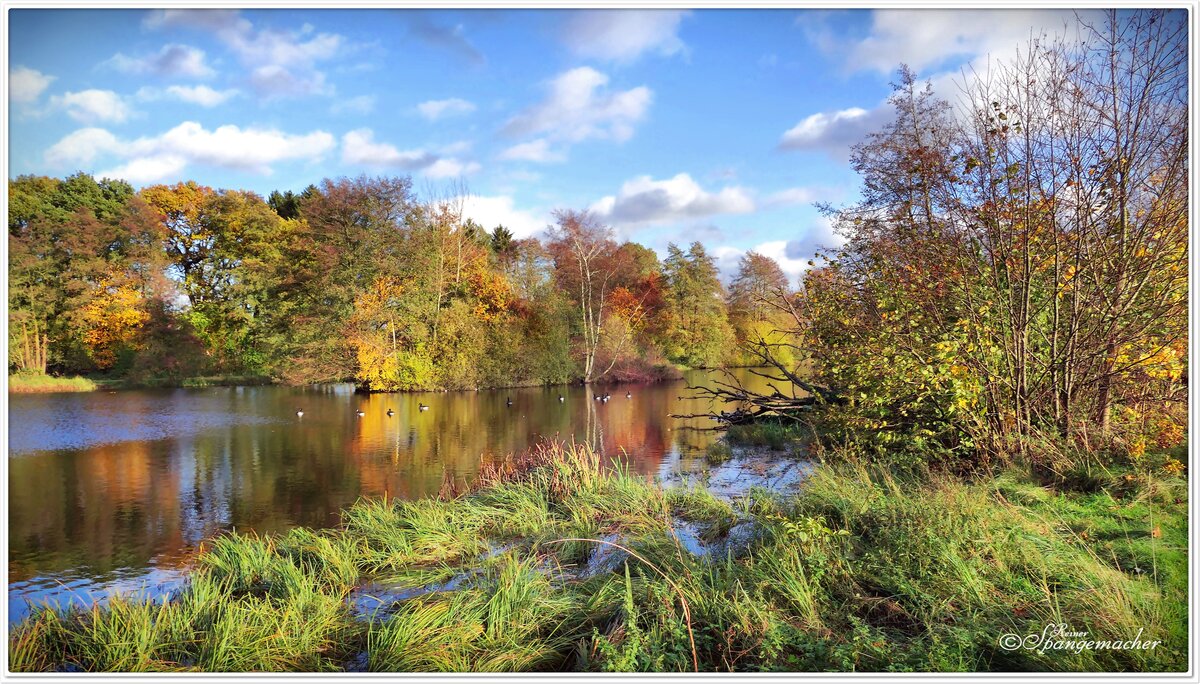 Wiesensee Lauenbrück im Herbst, Anfang November 2023. Nach der langen Regenperiode ist der Zugang erschwert, die Wiesen unter Wasser gesetzt. Ein paar Minuten Sonne, ehe das nächste Regenband heraufzieht.