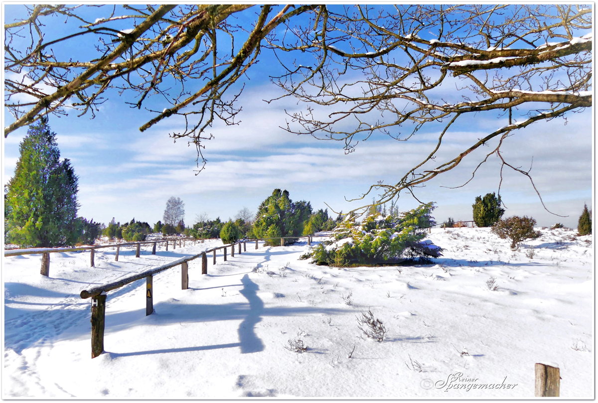 Wilseder Berg im Winterkleid. Ein sehr seltener Anblick, weiße Winter sind in Norddeutschland rar. Fällt dann einmal Schnee und scheint die Sonne, dann heißt es sich sputen, denn dann liegt ein Fußweg von minimal 3 Km vor uns. Im Naturschutzgebiet Lüneburger Heide sind Kraftfahrzeuge nicht zugelassen. Die nächstgelegenen Parkplätze befinden sich in  Einem ,  Niederhaverbeck  &  Oberhaverbeck . Februar 2021.