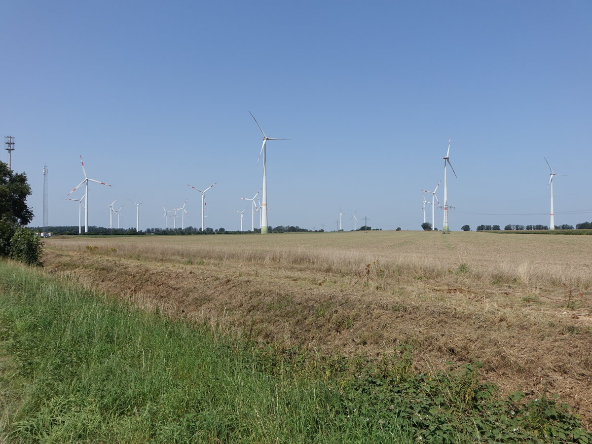 Windpark bei Jeggeleben, Lkr. Salzwedel (14.08.2025)