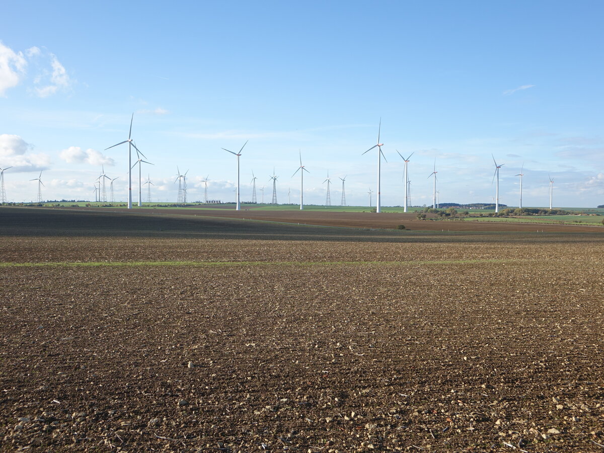 Windpark bei Mertendorf, Saale-Holzland-Kreis (22.10.2022)