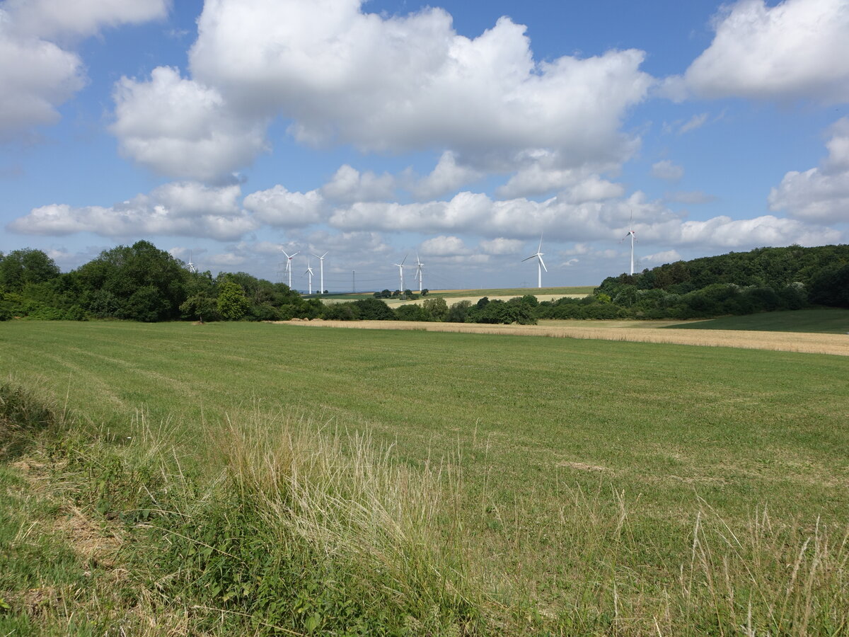 Windpark und Felder bei Gilzem, Südeifel (23.06.2022)