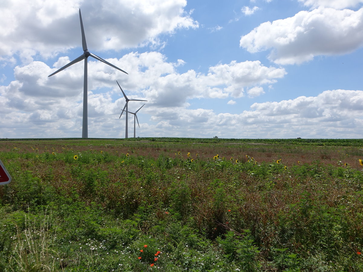 Windräder bei Chef-Boutonne, Dept. Deux-Sèvres (14.07.2017)