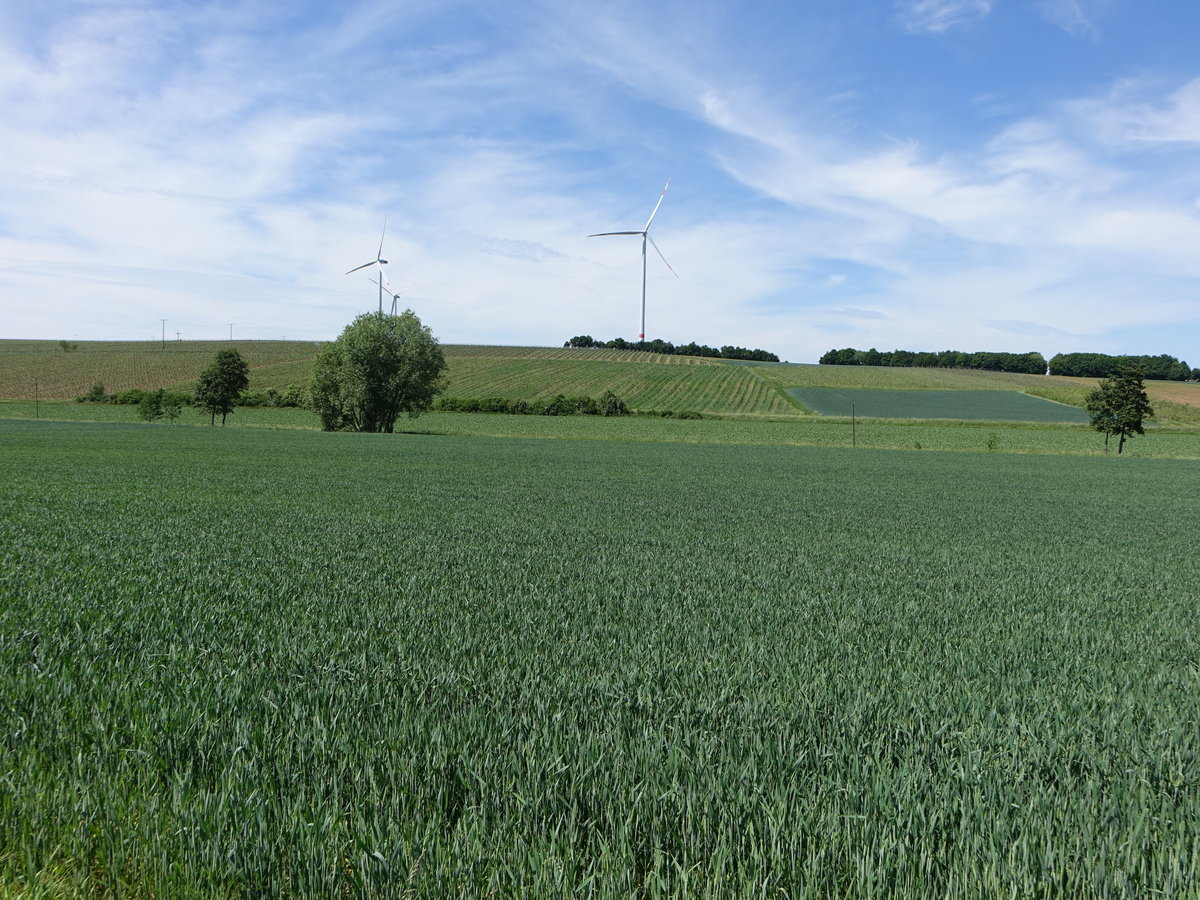 Windräder bei Frankenwinheim in Unterfranken (28.05.2017)