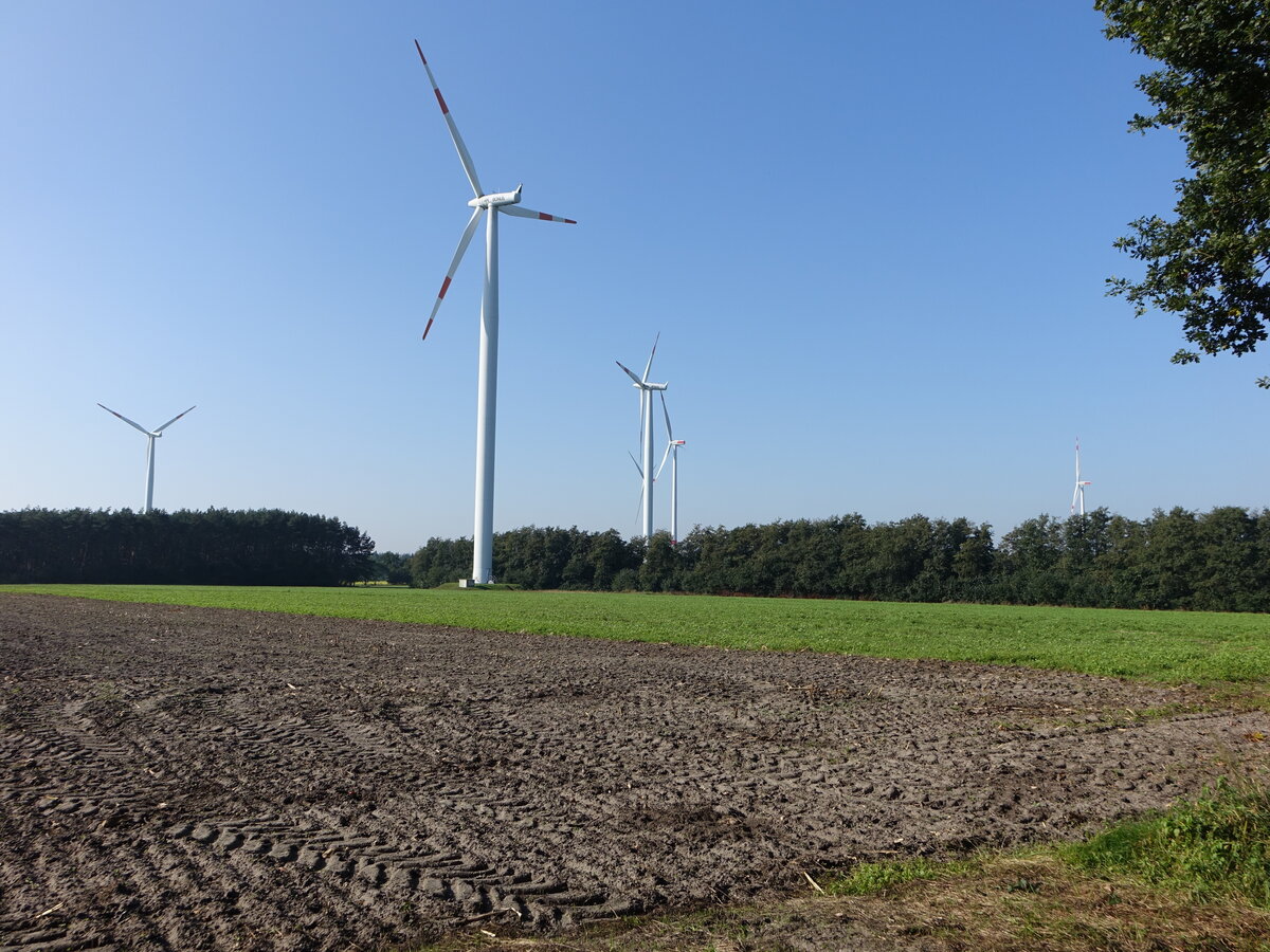 Windräder bei Fürstenau, Landkreis Osnabrück (10.10.2021)