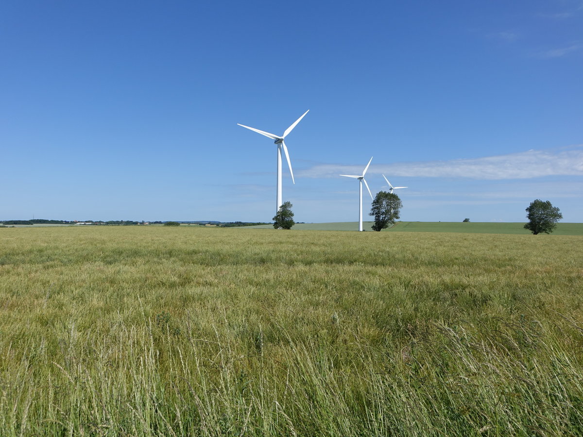 Windräder bei Grindlöse auf der Insel Fünen (06.06.2018)