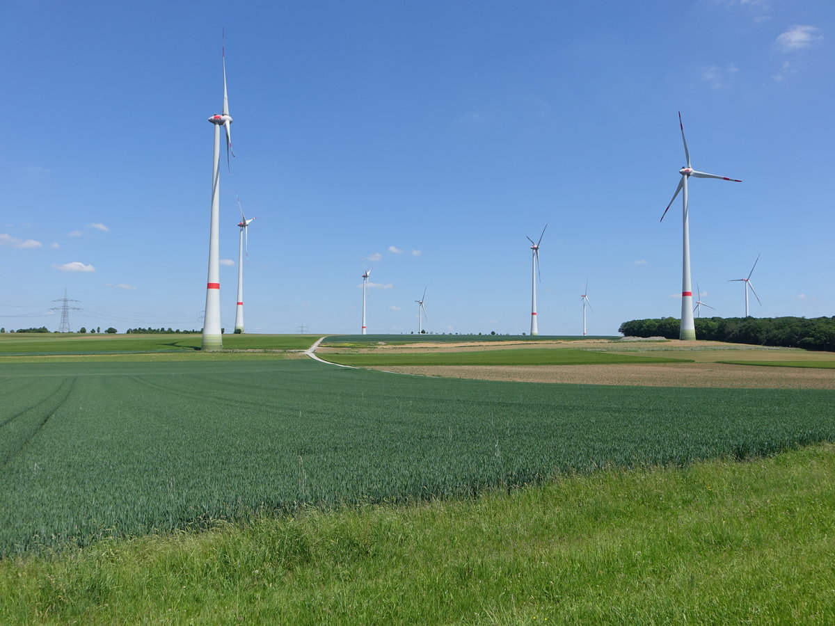 Windräder bei Opferbaum im Lkr. Würzburg (27.05.2017)