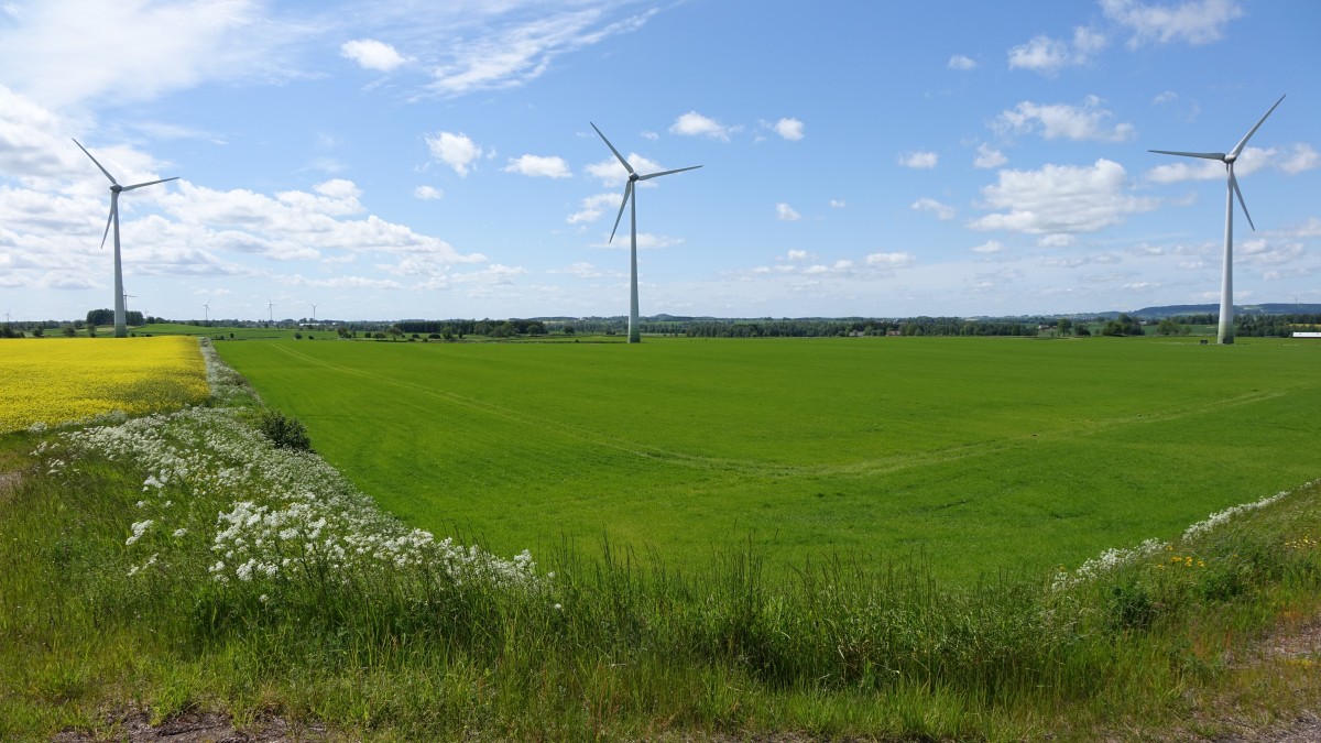 Windräder bei Störtorp, Jönköping Län (14.06.2015)