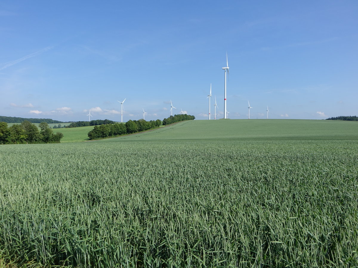 Windräder im Ziegelbachtal bei Halsbach, Lkr. Main-Spessart (26.05.2018)