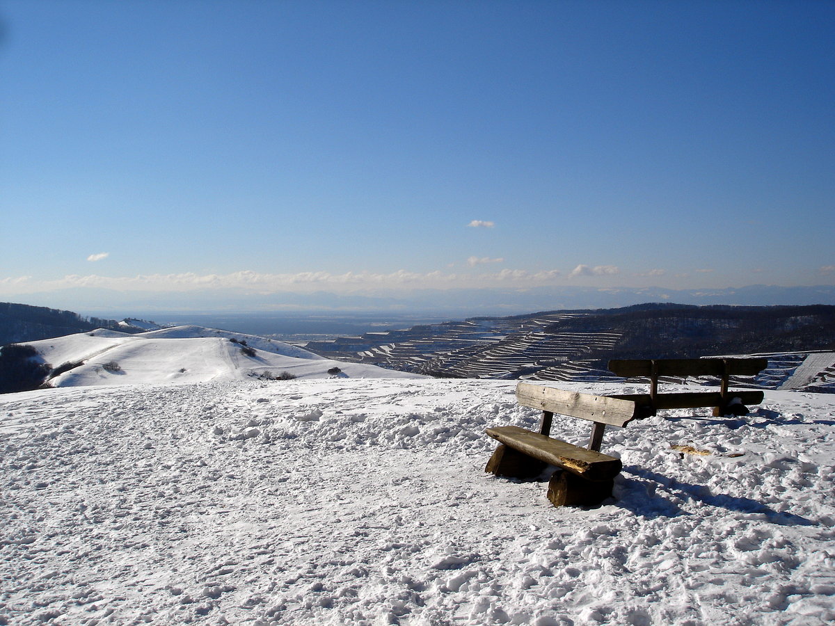 Winter am Badberg, mitten im Kaiserstuhl, Feb.2005