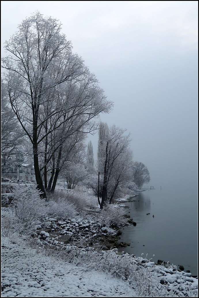 Winter am Bodensee -

Überlingen, 08.02.2018 (M)