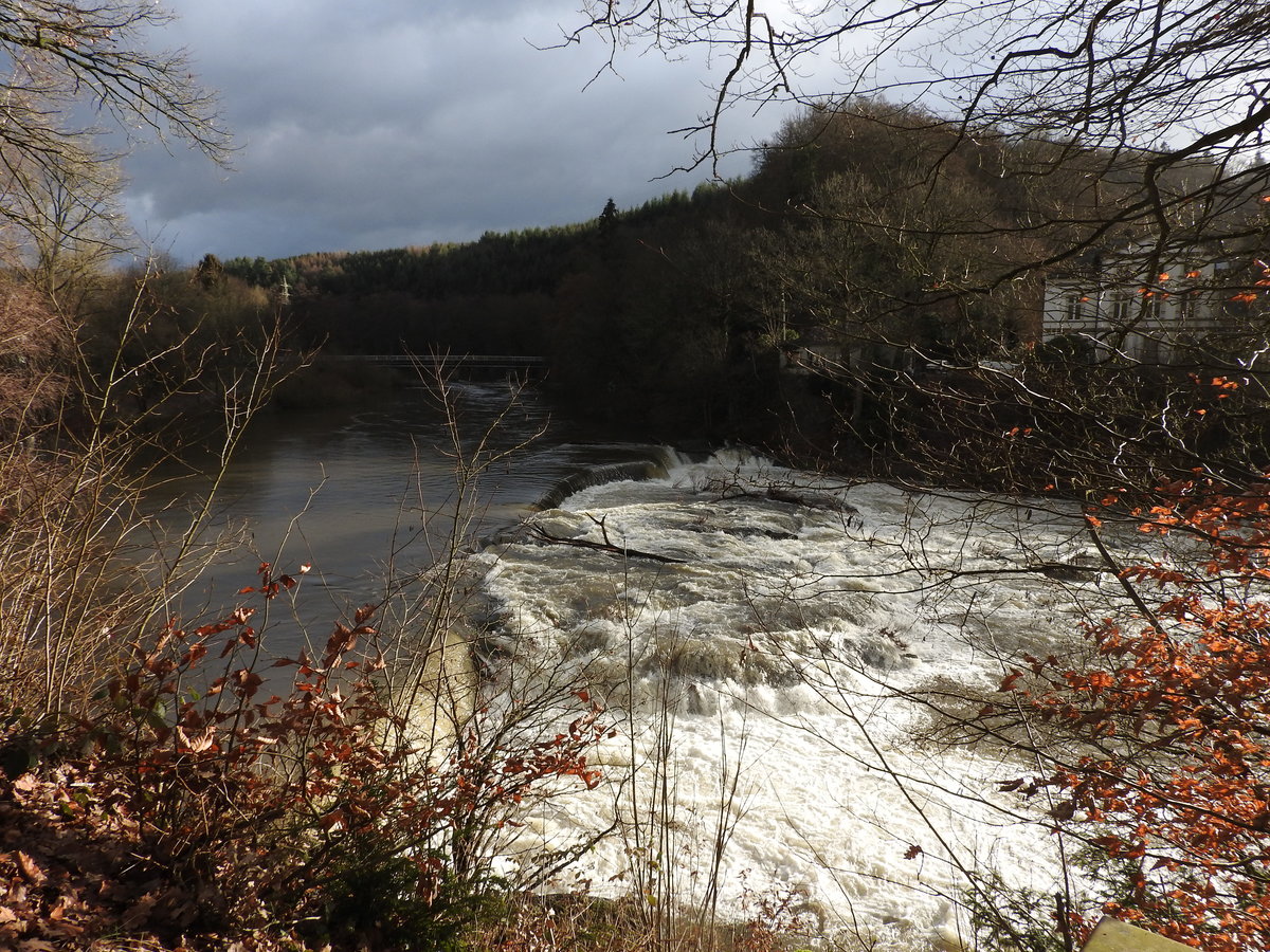 WINTER-HOCHWASSER AM SIEG-WASSERFALL BEI SCHLADERN IM JANUAR 2019
Bis vor wenigen Wochen noch konnte man durch die monatelange Trockenheit die Sieg
gut zu Fuß durchstiefeln- nach den ergiebigen Niederschlägen der letzten Woche
stürzen jetzt wieder mal ungeheure Wassermassen über die Felsblöcke des
SIEG-Wasserfalls bei SCHLADERN/Kreis Siegburg...am 9.1.2019