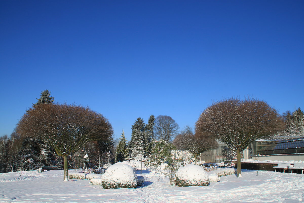 Winterimpression im Botanischen Garten, Bauerngarten vom 28.12.2014