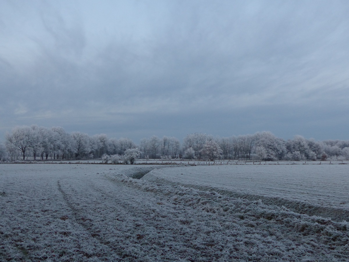 Winterimpressionen in Rheine=Bentlage, 22.12.2021