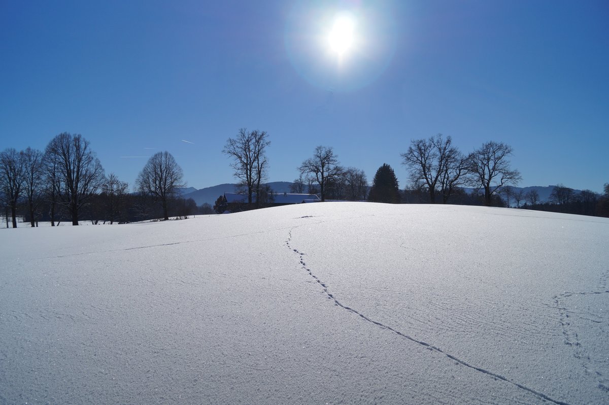 Winterlandschaft bei Schaftlach im Kreis Miesbach (17.01.2017)