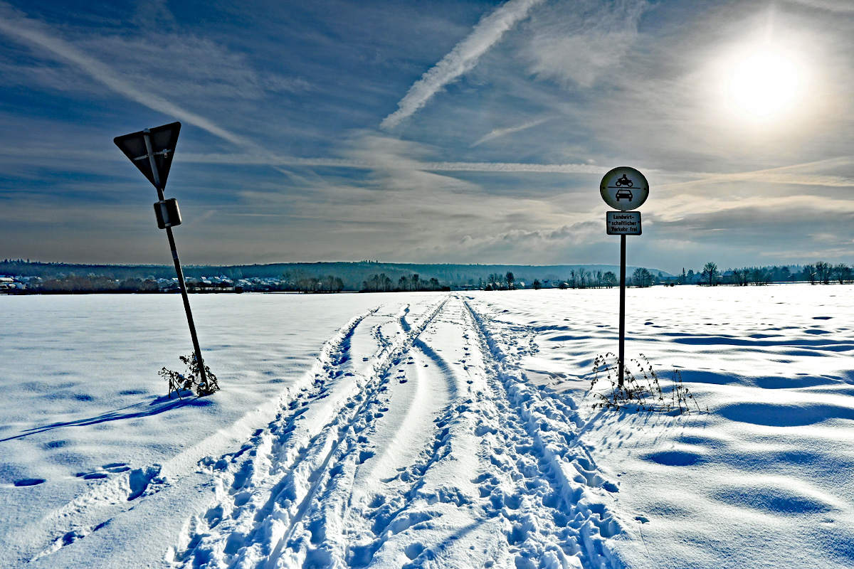 Winterlandschaft gegen die Sonne aufgenommen bei Euskirchen - 18.01.2024