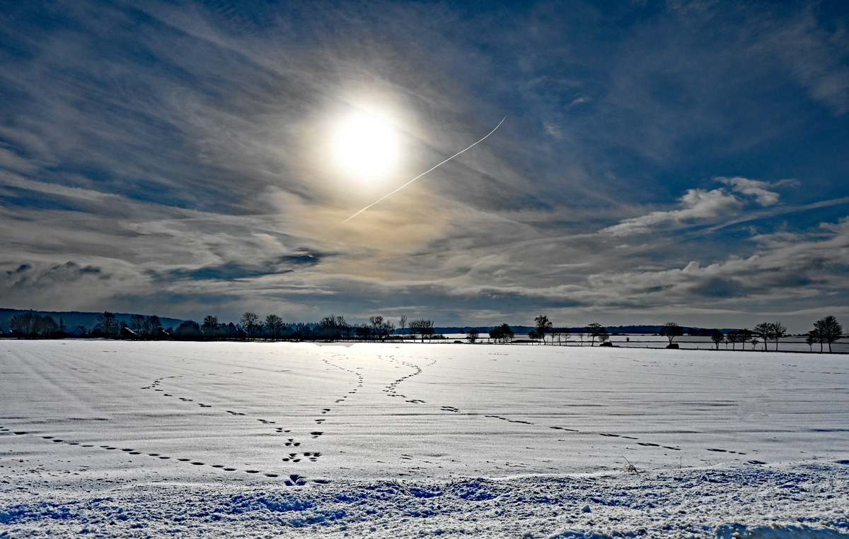 Winterlandschaft mit Gegenlicht bei Euskirchen-Stotzheim - 18.01.2024