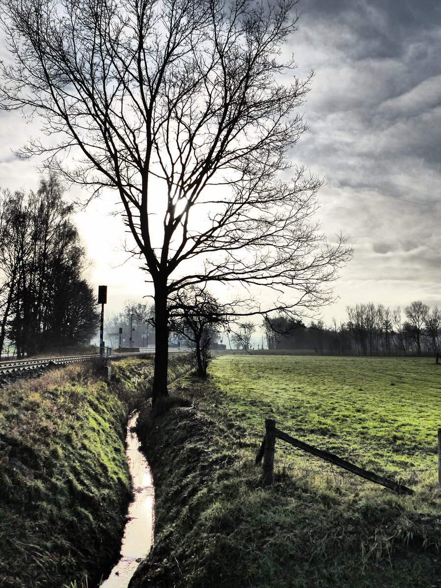 Winterliche Stimmung in Quendorf bei Bad Bentheim am letzten Tag des Jahres 2019