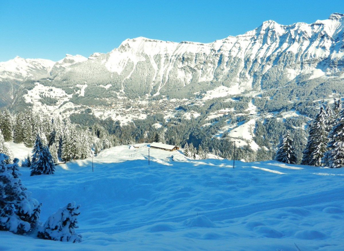 Winterlicher Blick auf Wengen - 27.11.2013