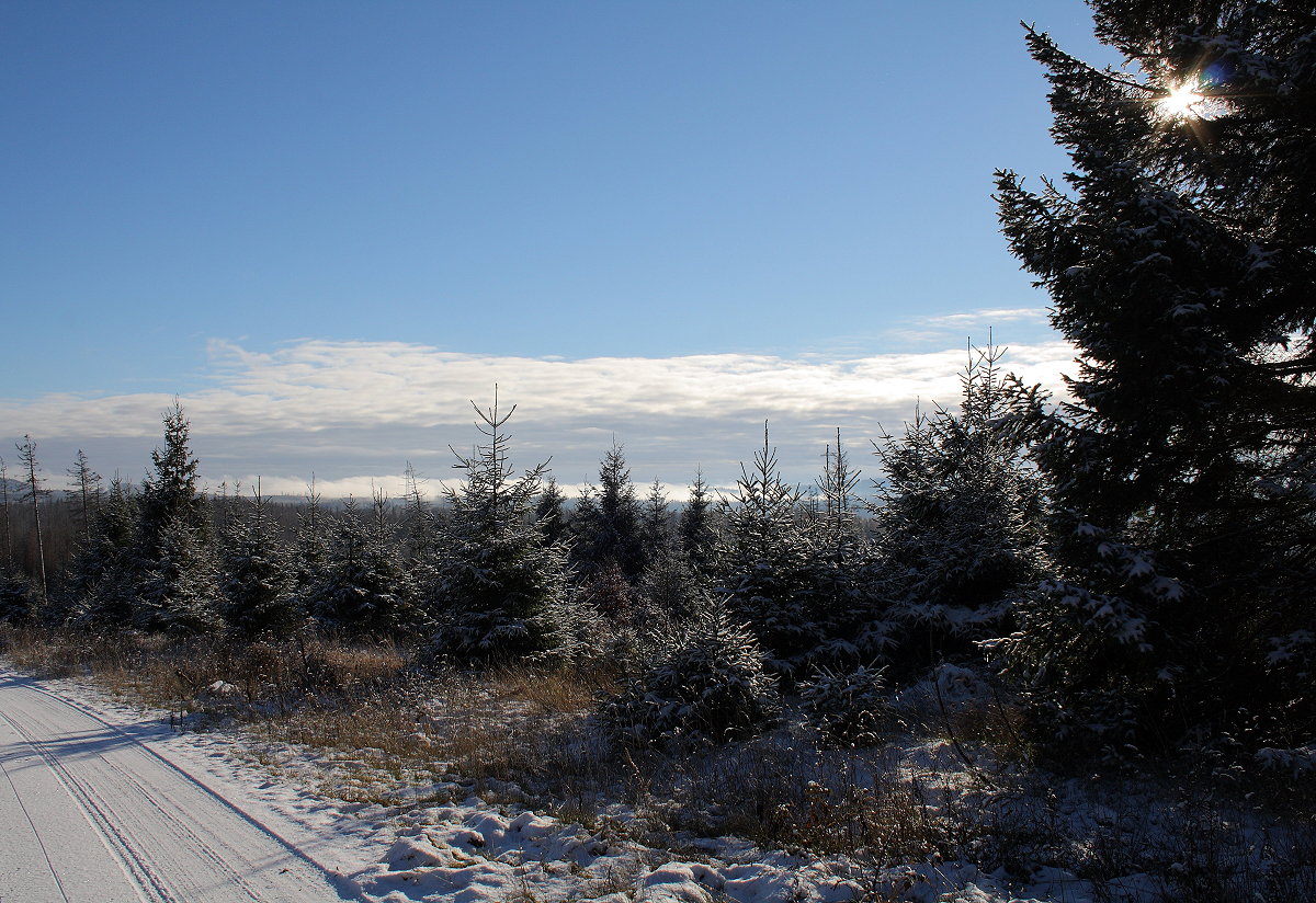 Wintersonne steht in einer Fichte; Blick am späten Nachmittag des 21.11.2022 von der Hahnenkleer Waldstraße Richtung Südwesten...