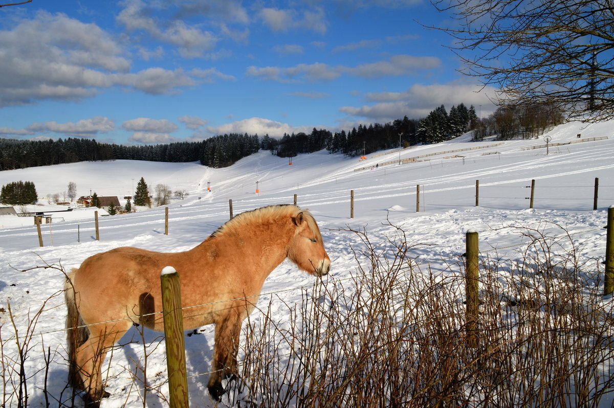 Winterstimmung am 13.02.2018 im Skigebiet Wildewiese (Sundern/Sauerland)