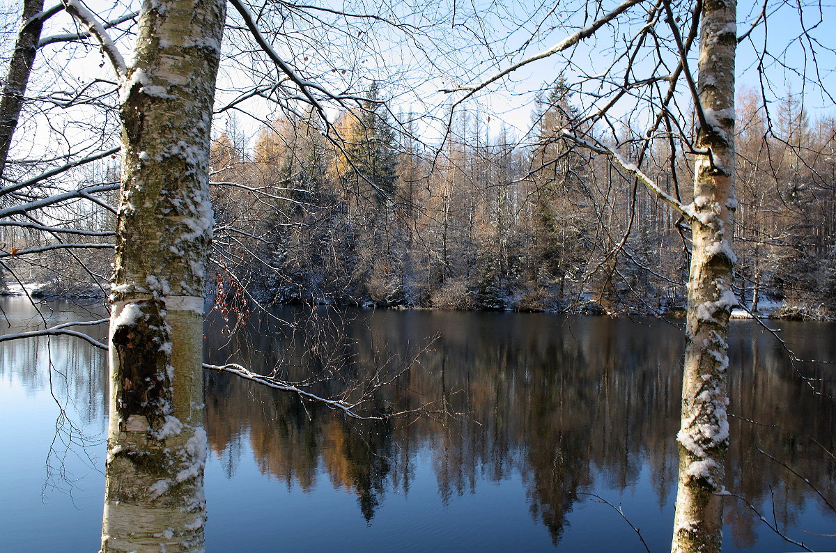 Winterstimmung am Silberteich am Nachmittag des 21.11.2022...