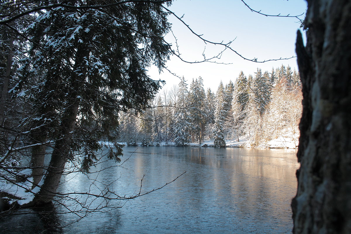 Winterstimmung am Silberteich; Blick am Morgen des 13.02.2016 vom Ostufer Richtung Staumauer...