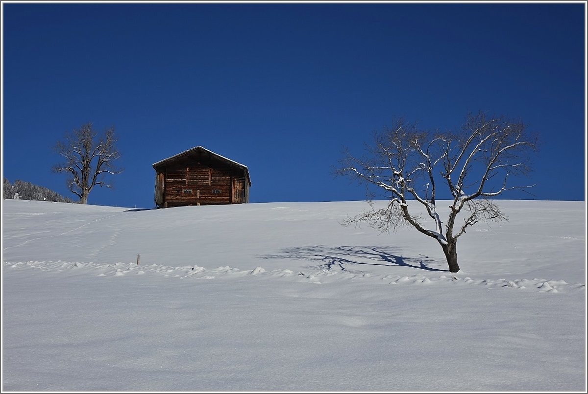 Winterstimmung bei Schönried
(13.02.2018)