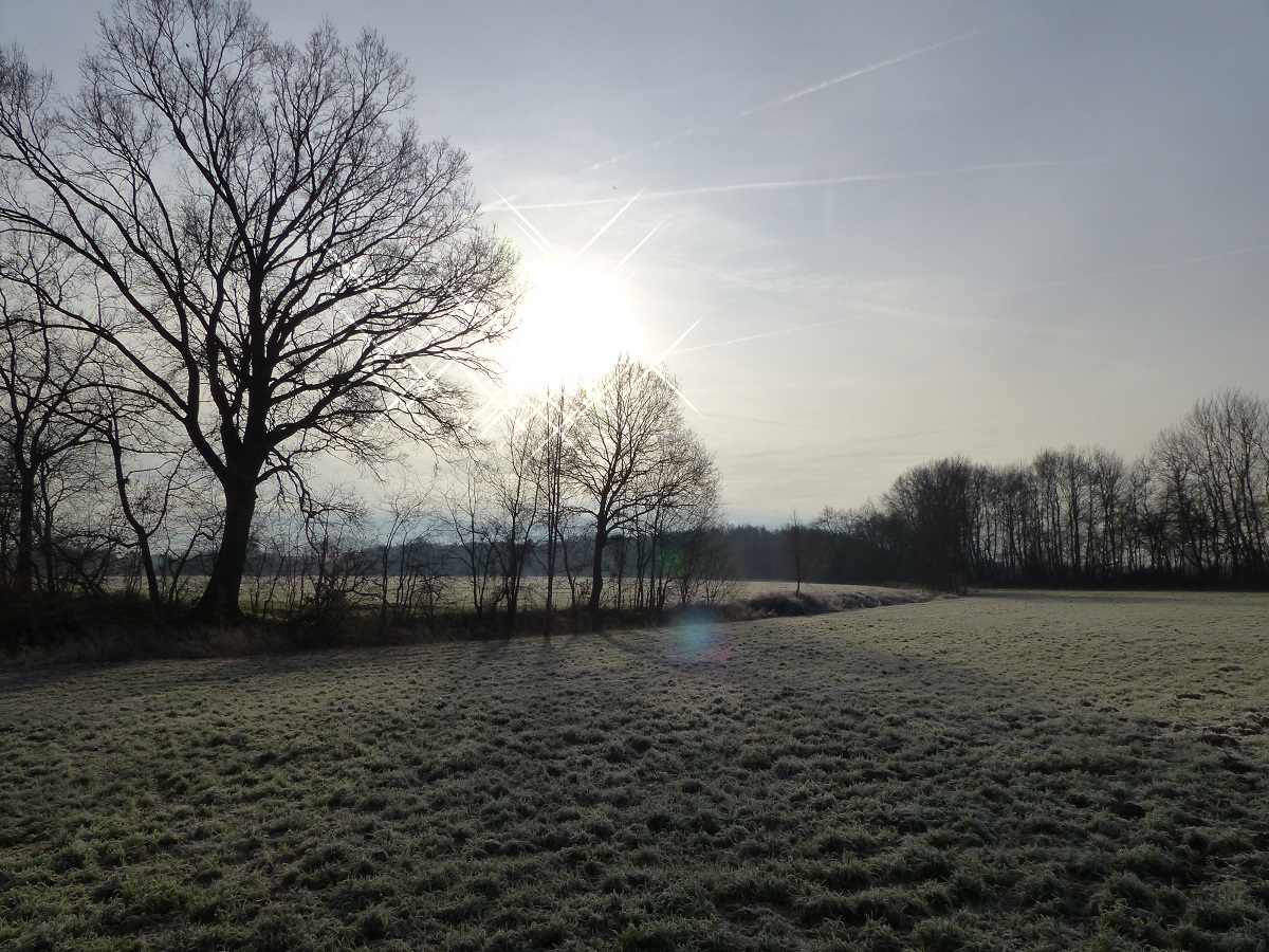 Winterstimmung in Rheine=Bentlage, 29.12.19