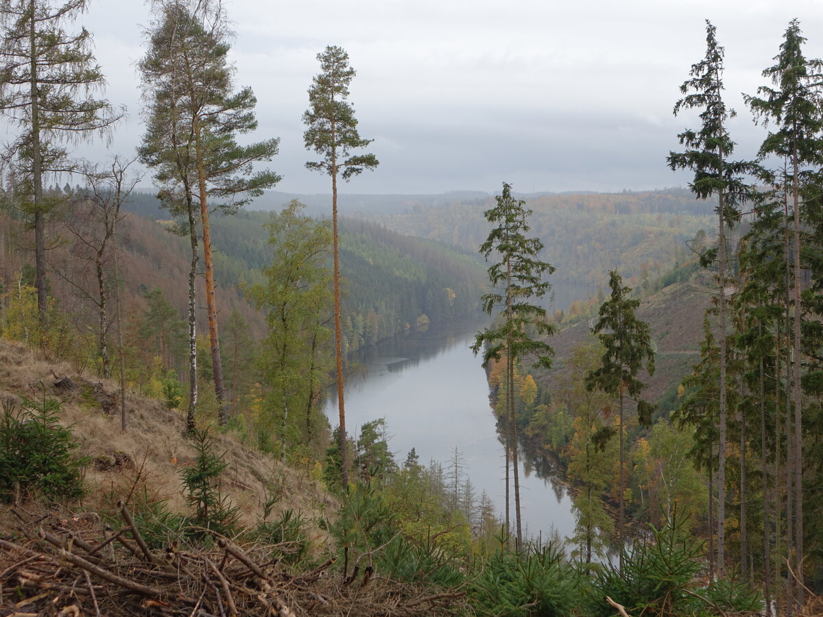 Wisenta bei Grochwitz, Saale-Orla-Kreis (18.10.2022)