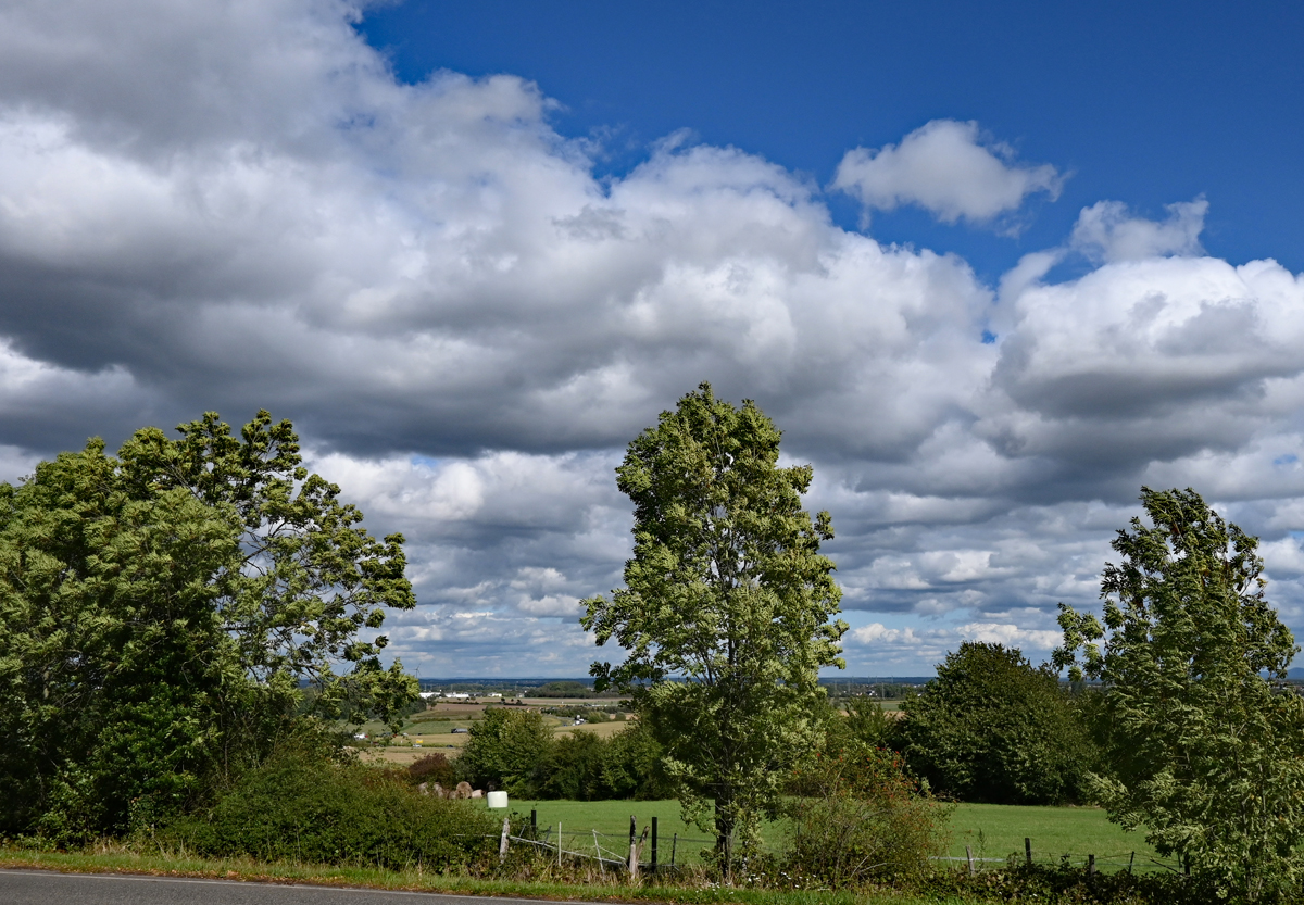 Wolken - Bäume in der Voreifel bei Euskirchen - 22.09.2023