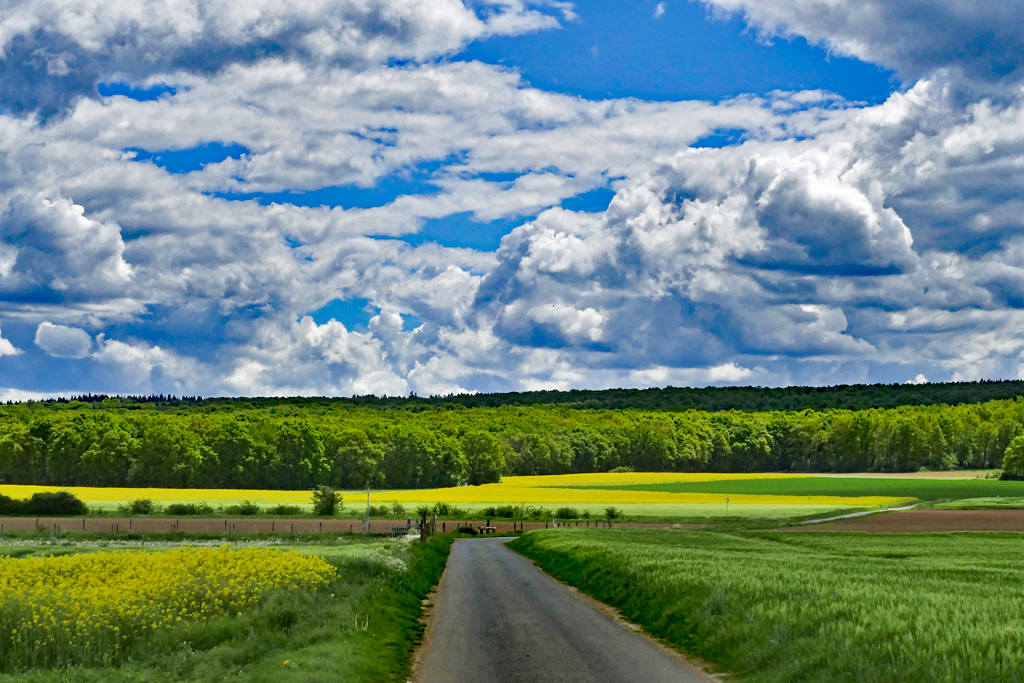 Wolken - Wald - Felder beim  Billiger Wald  Nähe Euskirchen - 12.05.2017