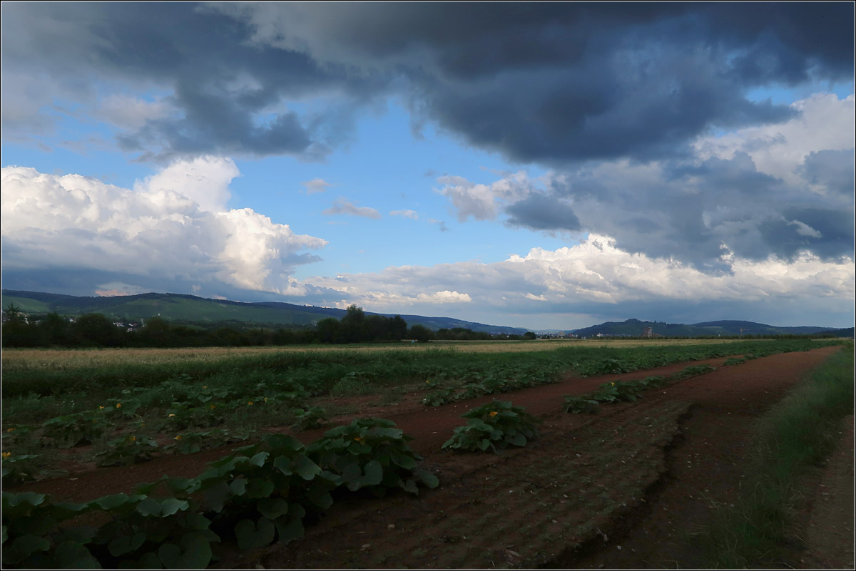 Wolkenbilder des Tiefs 'Bernd' -

Helle und dunkle Wolken und auch blauer Himmel über der Remstalbucht, gesehen vom Ortsrand von Rommelshausen aus.

14.07.2021 (M)