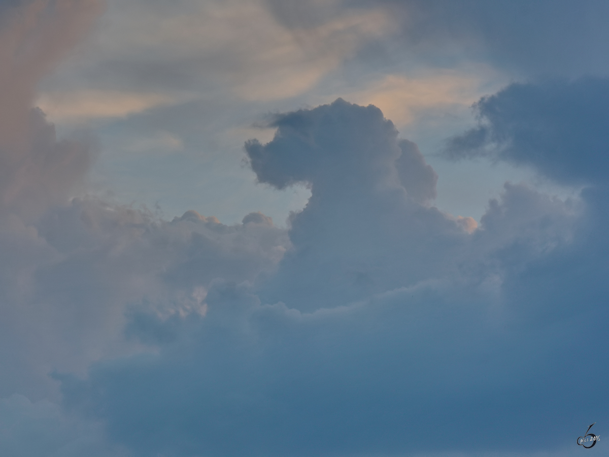 Wolkenbilderraten gefällig? Mit etwas Fantasie sehe ich einen im Körbchen sitzenden kleinen Dackel. (Hattingen, August 2016)