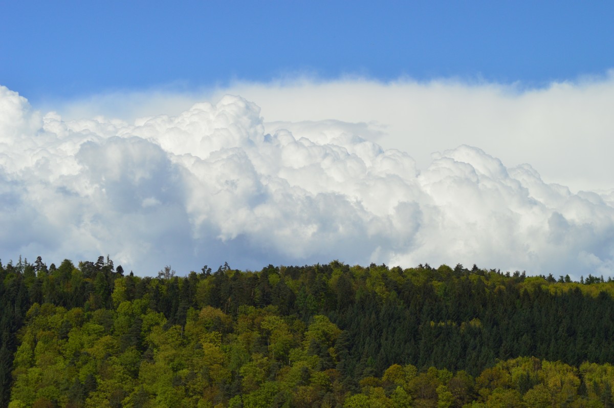 Wolkenfront über einem Waldstück oberhalb von Neckargerach. 18.4.2014