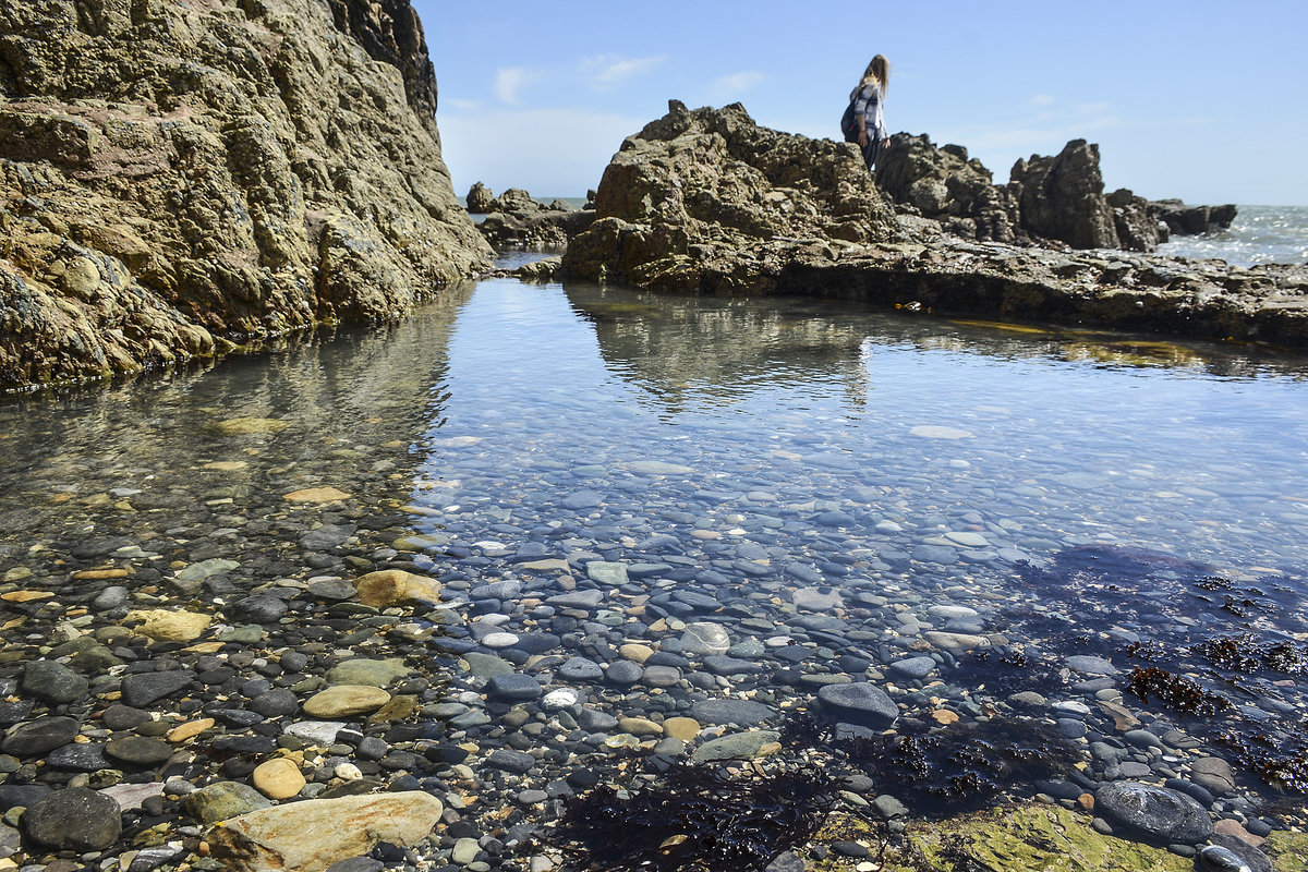 Worn Hole an der Südküste von Howth Head - Irland. Aufnahme: 12. Mai 2018.