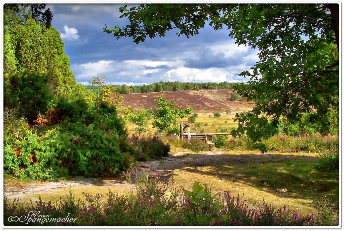 Wümmeberg, Blick über das Quellgebiet der Wümme, dass Wümmetal. Gegenüber der Suhorn Höhenrücken bei Niederhaverbeck, Naturschutzgebiet Lüneburger Heide, September 2013  