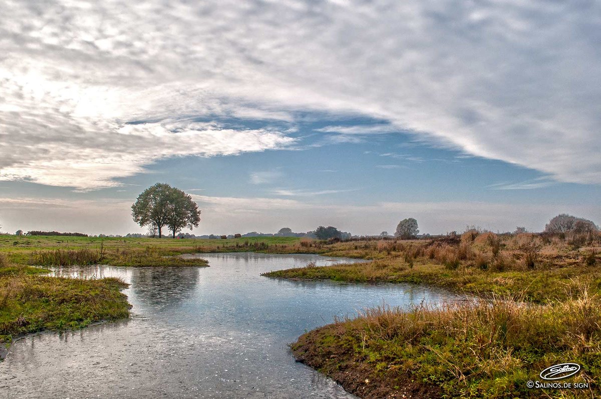 Wümmewiesen bei Fischerhude im Spätherbst, November 2016