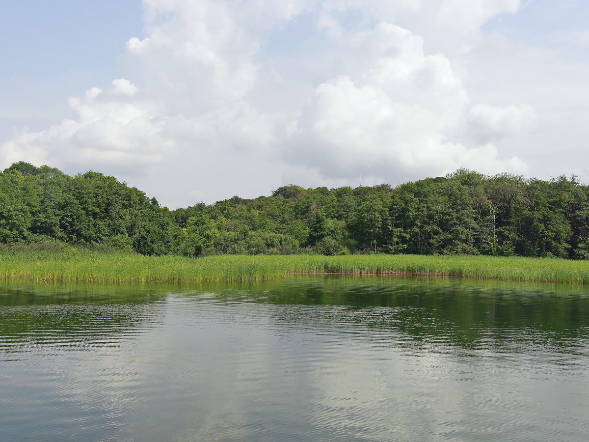 Ziegelwerder eine Insel bei Schwerin anfang Augsut 2019