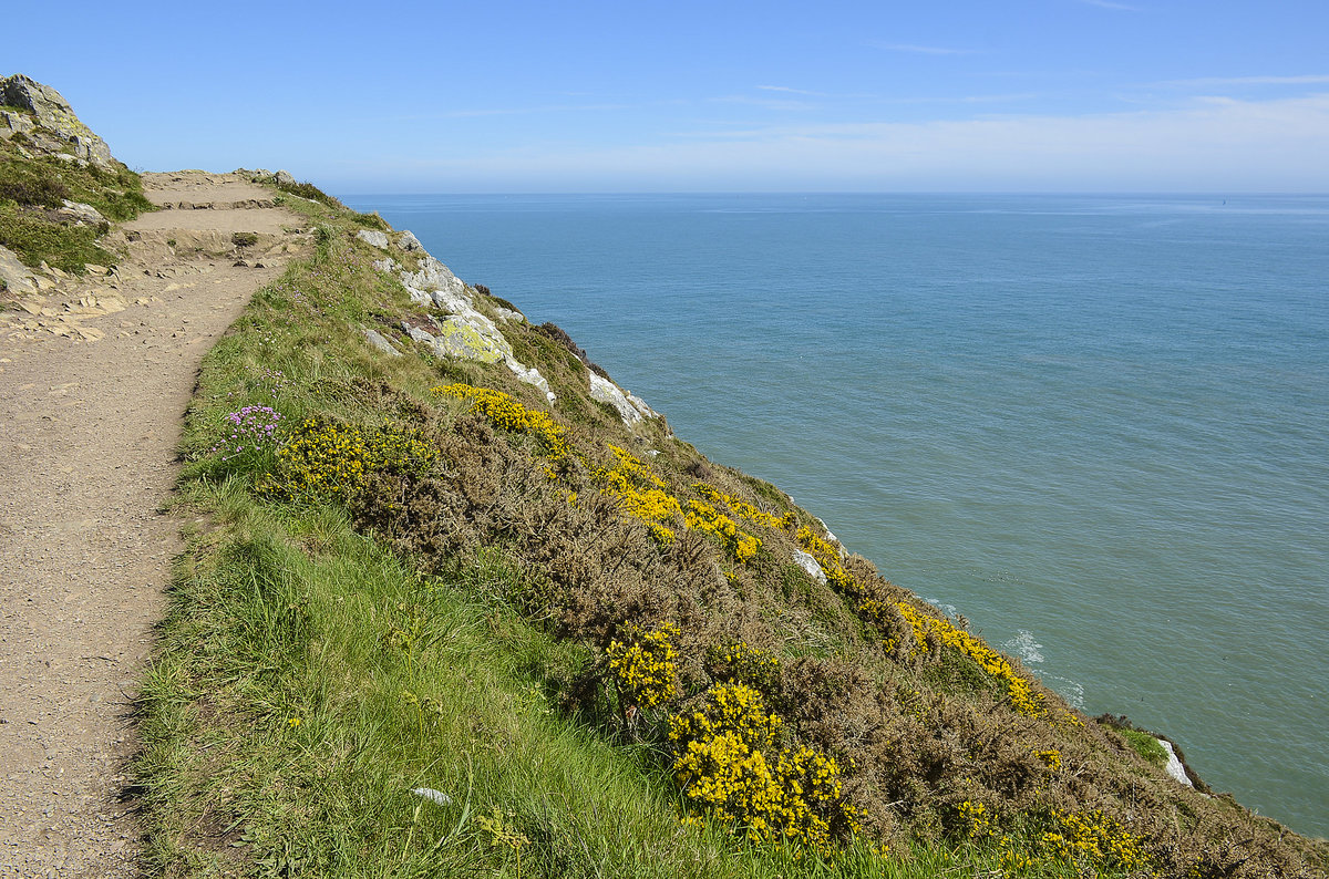 Zu Fuß auf den Hill von Howth östlich von Dublin. Ein Halbtagsausflug in die wunderschöne Küstenregion ist bei den Dublinern sehr beliebt.
Aufnahme: 12. Mai 2018.