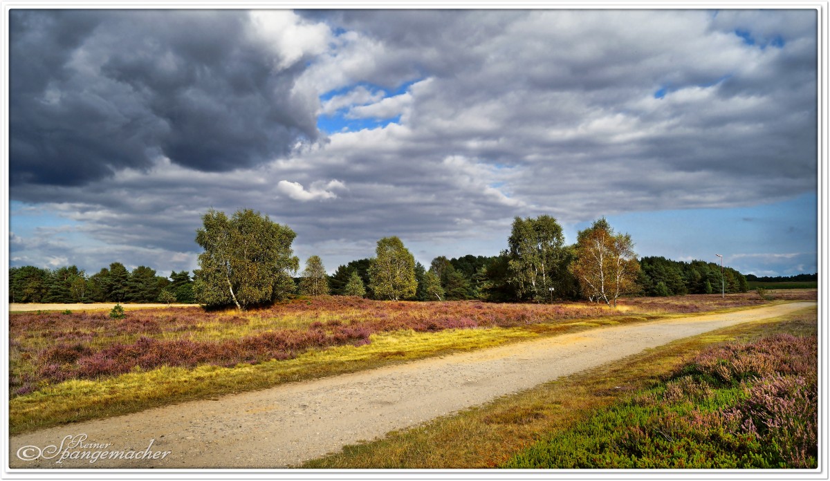 Zufahrt zum Segelflughafen Reinsehlen bei Schneverdingen, September 2014.